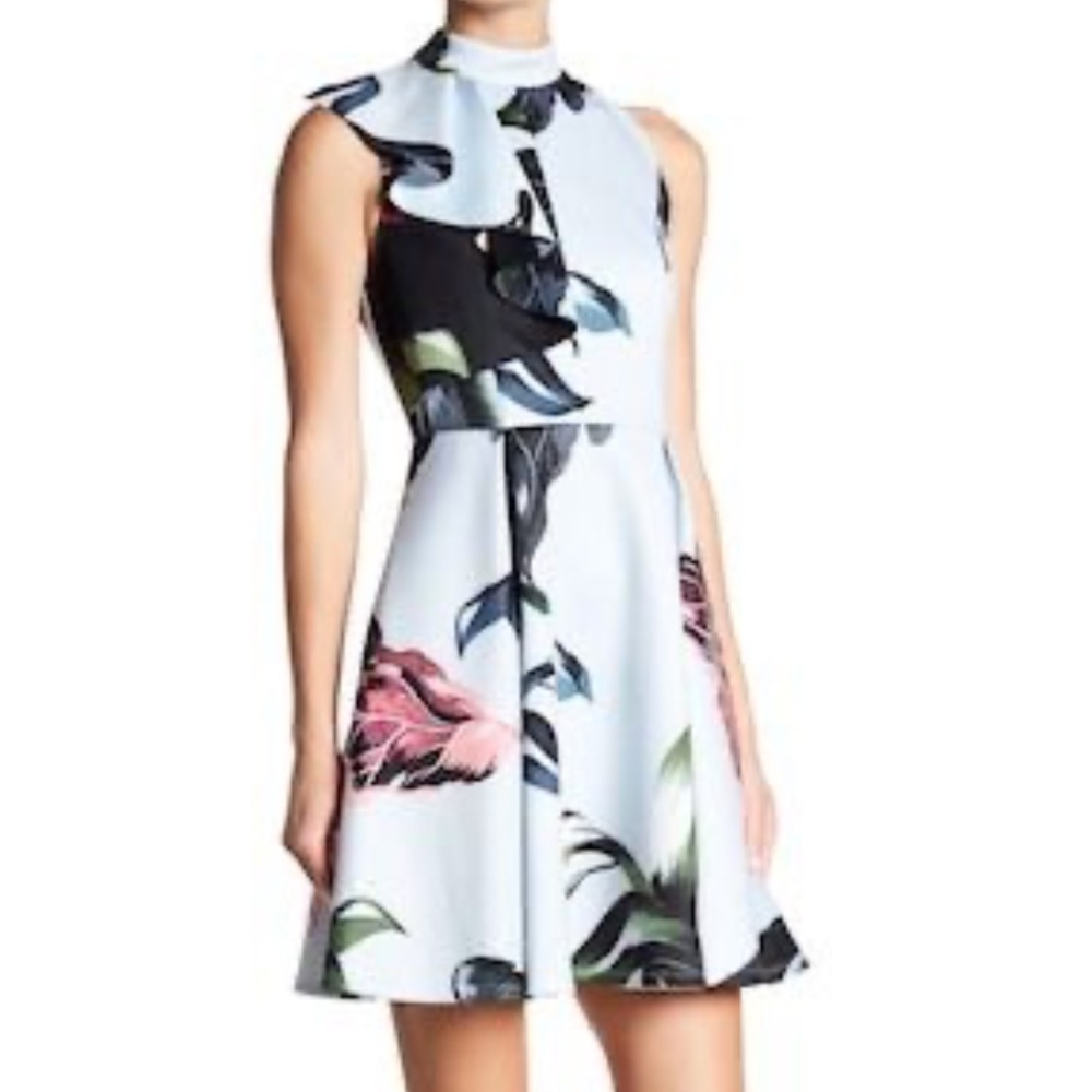Ted Baker London Black and Pink Fit and Flare Mini Dress